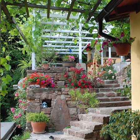 Am Berggarten Heidelberg Bagian luar foto