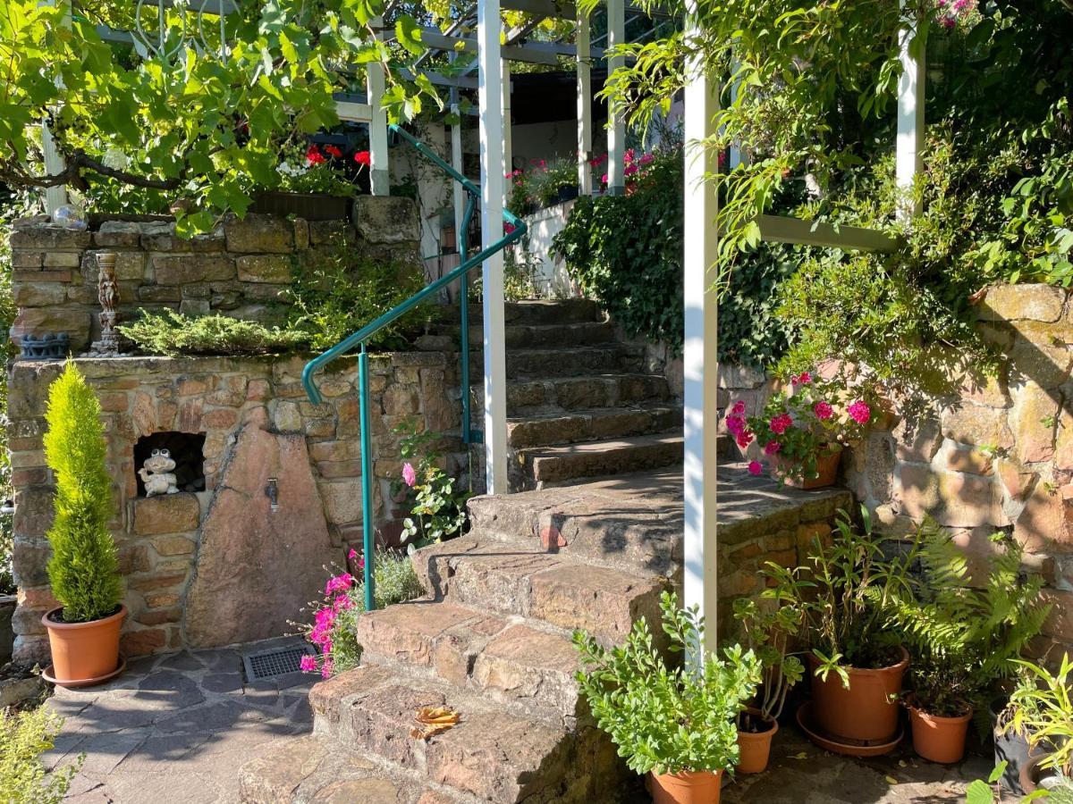 Am Berggarten Heidelberg Bagian luar foto