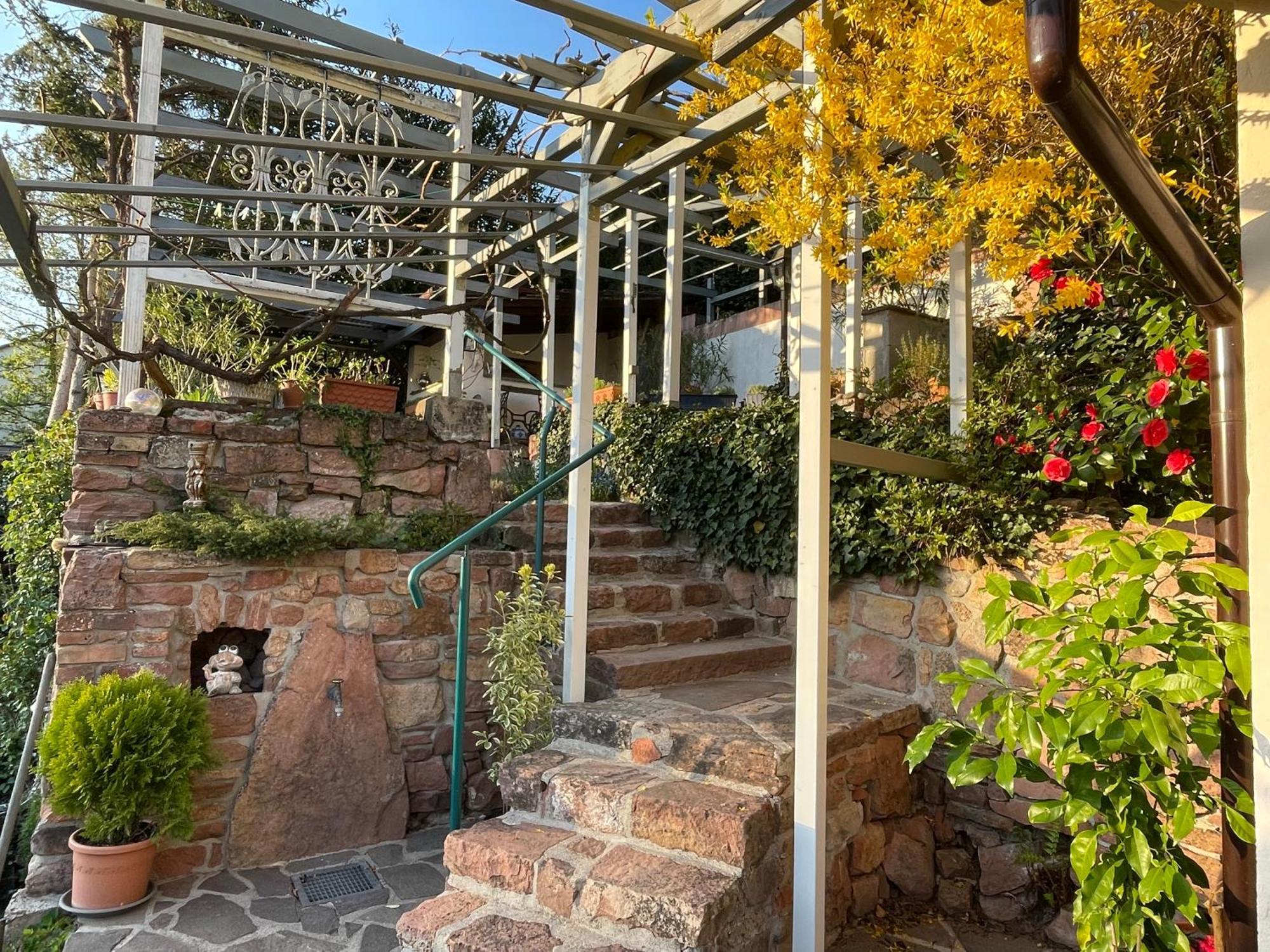 Am Berggarten Heidelberg Bagian luar foto