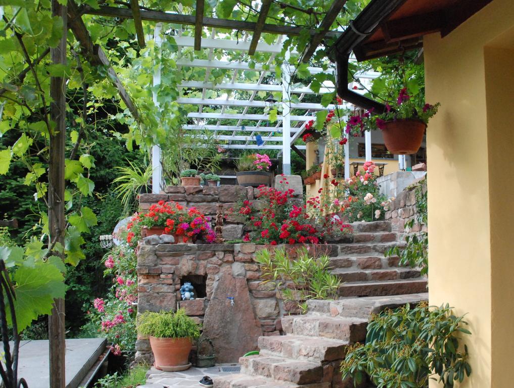 Am Berggarten Heidelberg Bagian luar foto