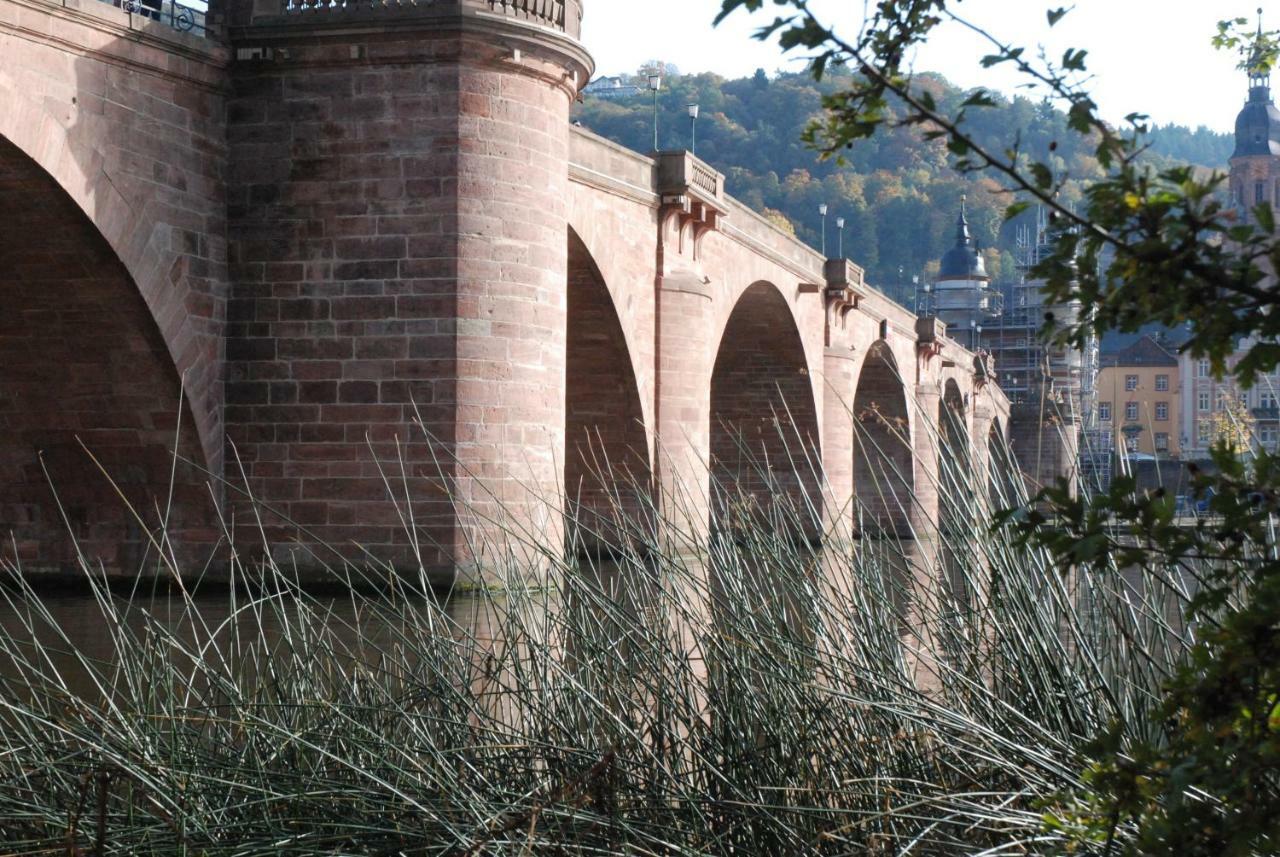 Am Berggarten Heidelberg Bagian luar foto
