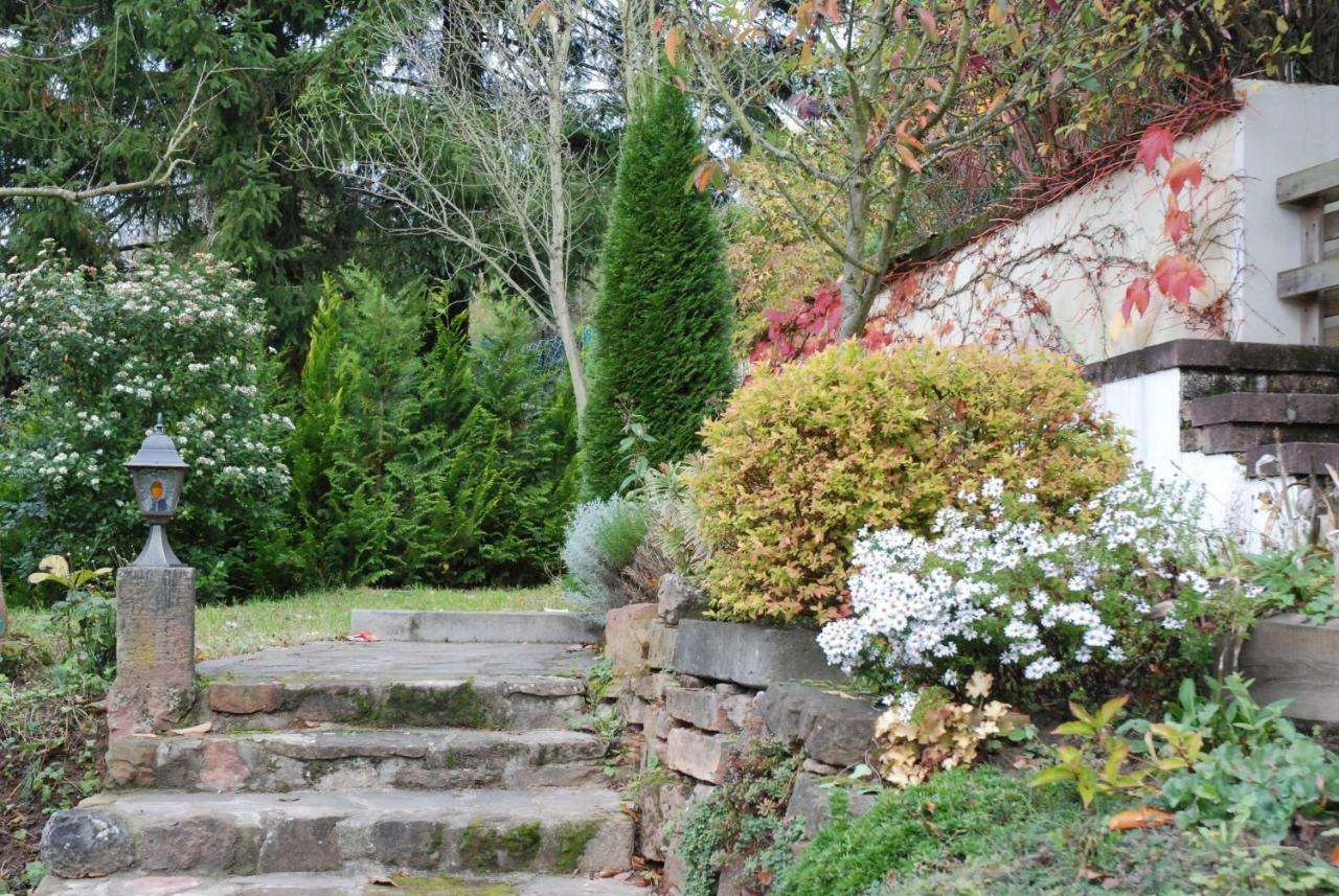 Am Berggarten Heidelberg Bagian luar foto