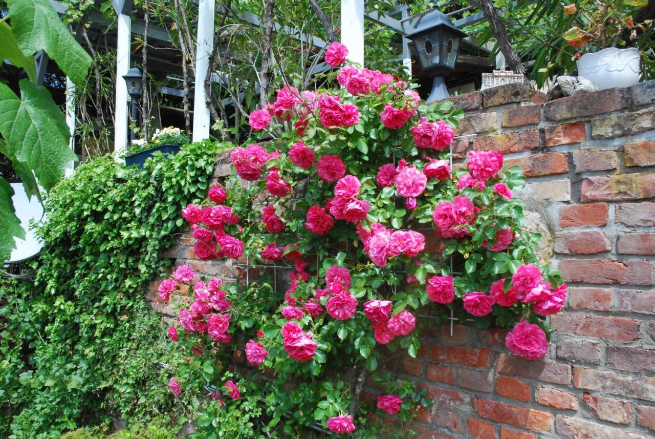 Am Berggarten Heidelberg Bagian luar foto